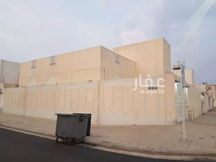 019487780_1755961212120