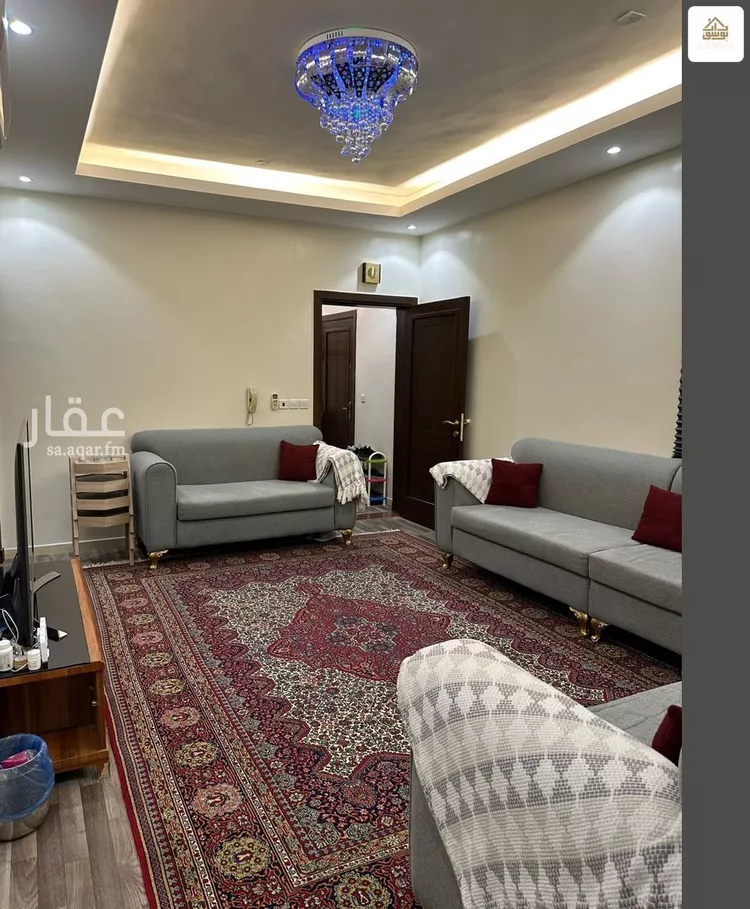 019487780 1770062403710