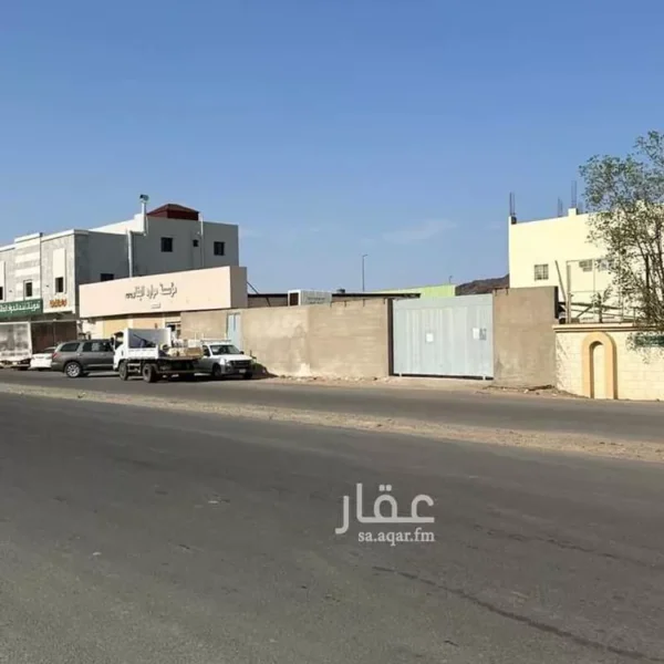 019487781 1758136550407 600x600