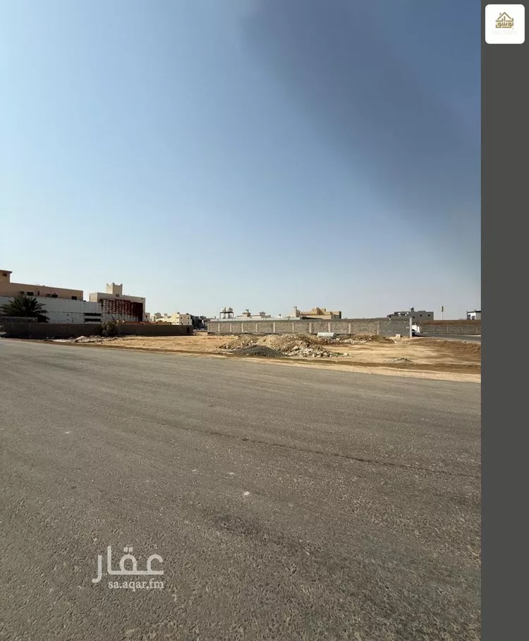 019487781 1763560950214