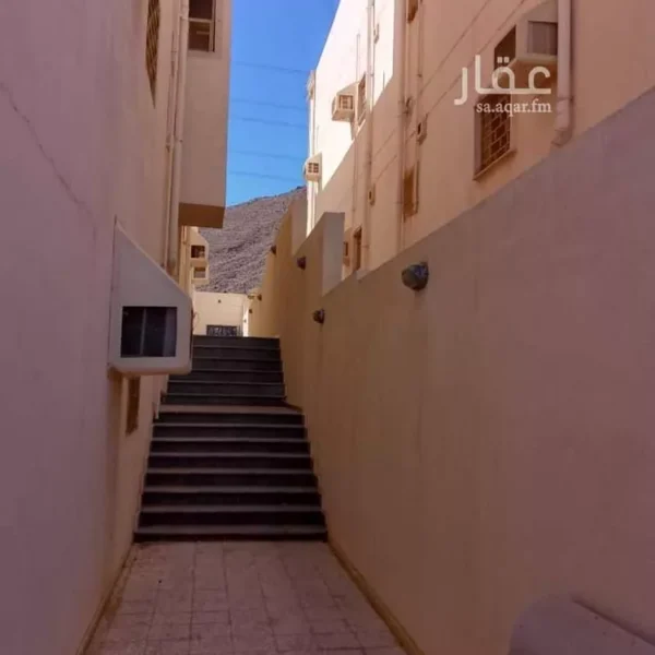 019487786 1759681230041 1 600x600