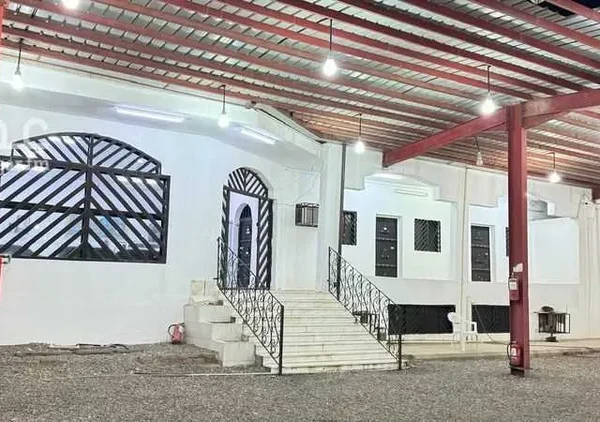 019487787 1762704484072 600x422