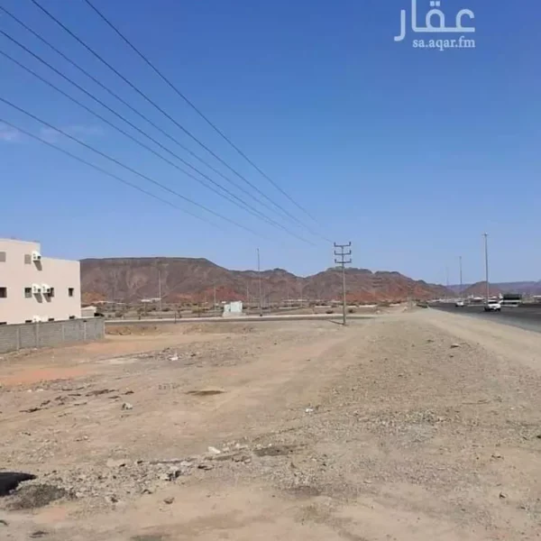 019487788 1758136970530 600x600