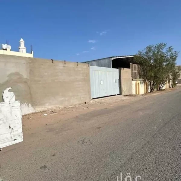 019487789 1758136550384 600x600