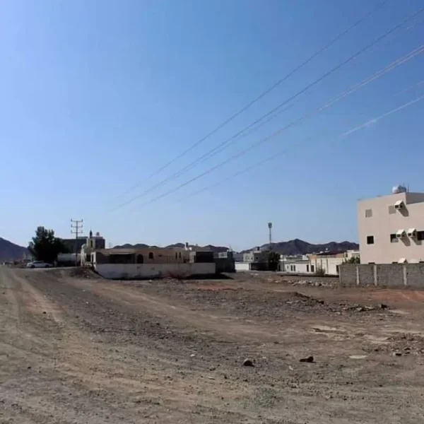 019487789 1758136970533 1 600x600