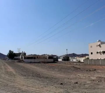 019487789 1758136970533 360x320