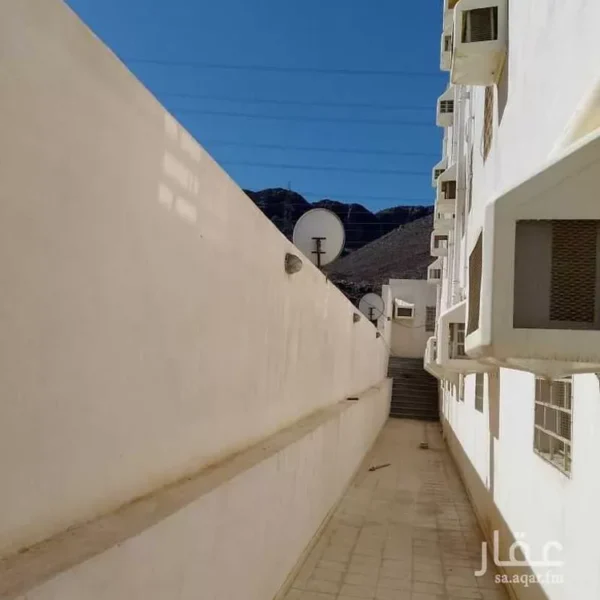 019487789 1759681229973 1 600x600