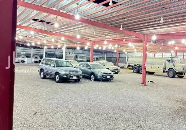 019487789 1762704479262 600x422