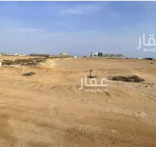 047398450 1765911313935 1 600x565