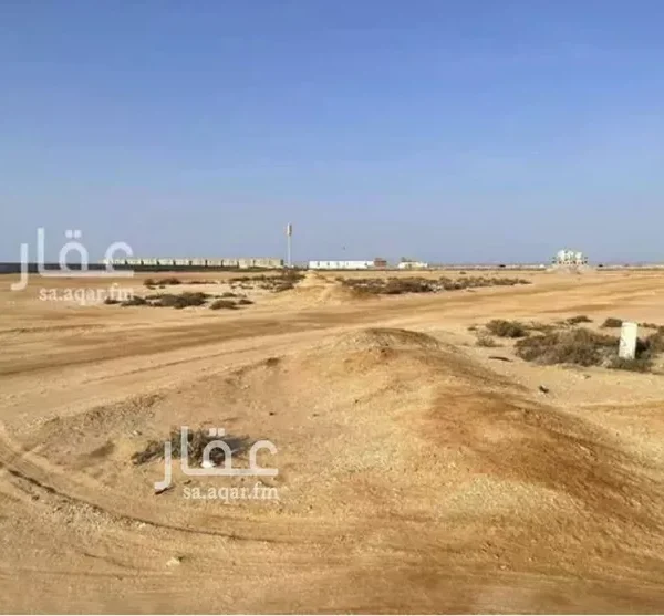 047398451 1765911313958 600x557