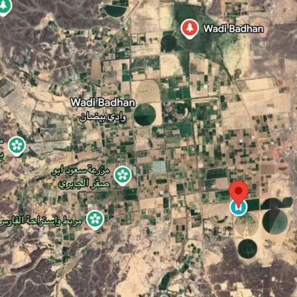 047398451 1768498756593 600x600