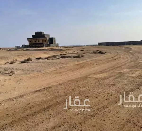 047398452 1765911313944 600x555