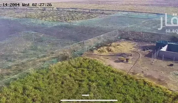 047398453 1768500656908 600x346