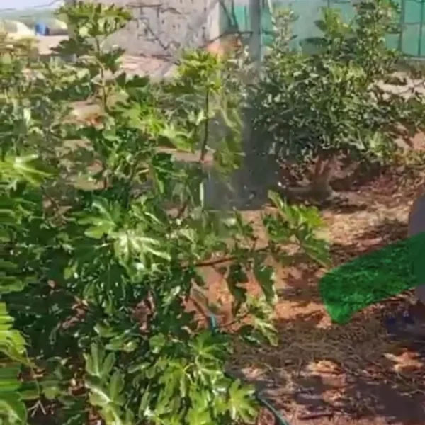 047398453 1768500656917 600x600