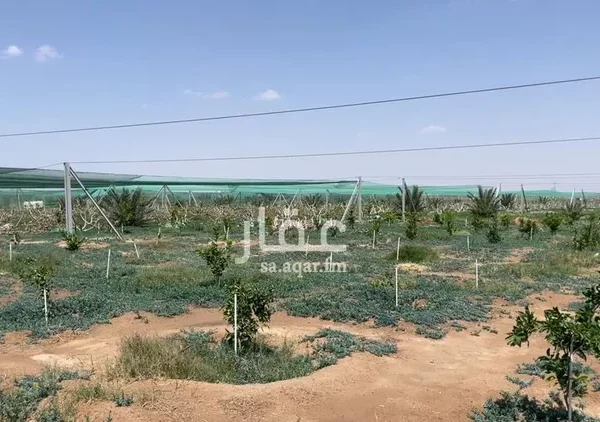 047398453 1768500656949 600x422