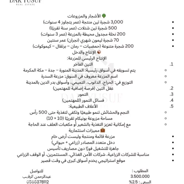 047398454 1768499207691 600x600