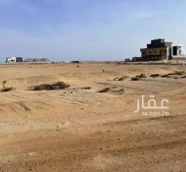 047398455 1765911313958 600x555