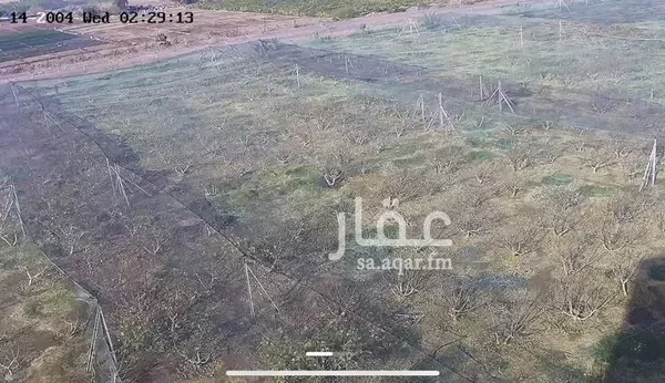 047398455 1768500656990 600x346