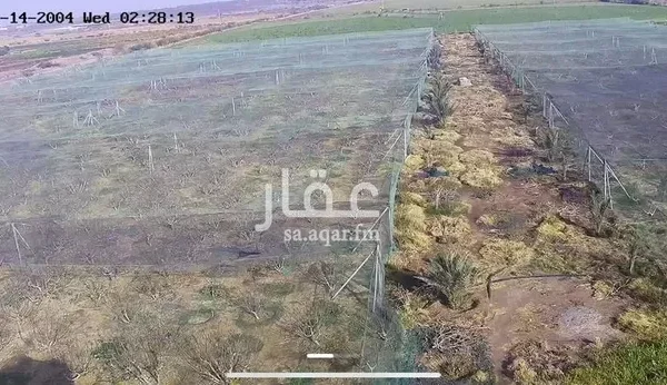 047398456 1768500656911 600x346