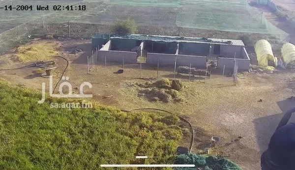 047398456 1768500656922 600x346