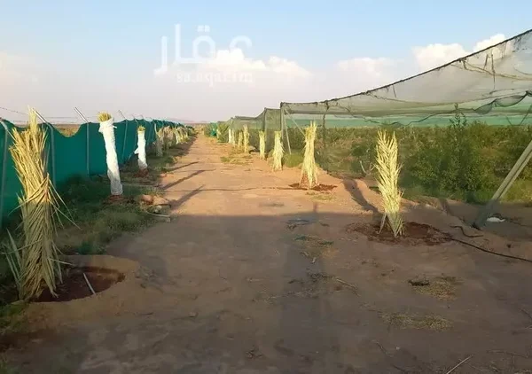 047398456 1768500810815 1 600x422