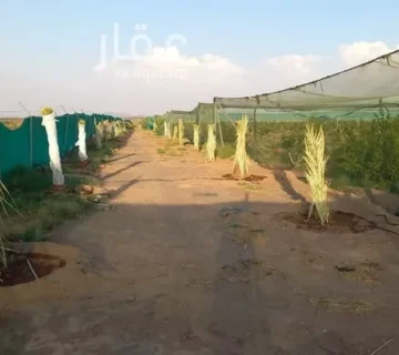 047398456 1768500810815 360x320