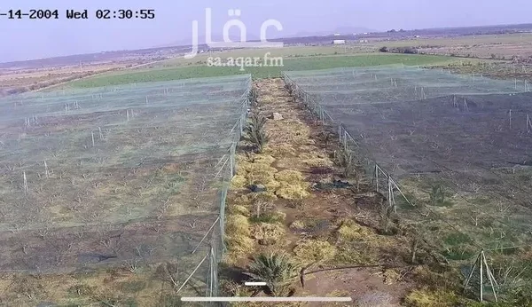 047398458 1768500657052 600x346