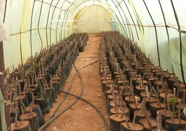 047398458 1768500810810 600x422