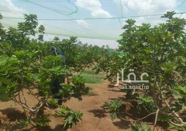 047398459 1768500810810 600x422