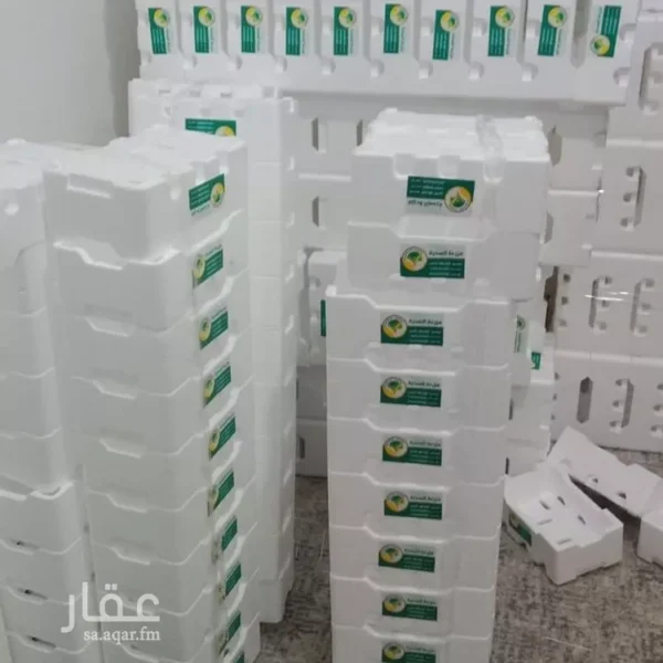 047398459 1768500810813 600x600