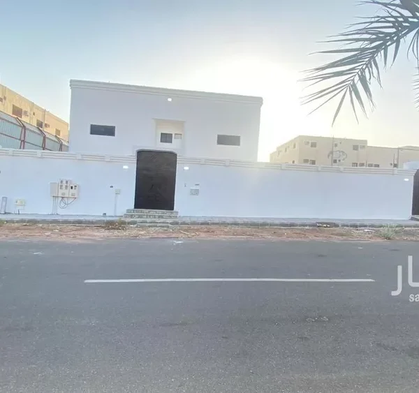 048493263 1766682984147 600x563