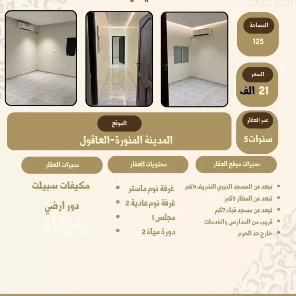 048493264 1772570171723 600x600