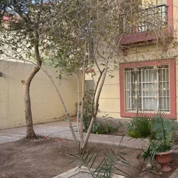 048493266 1768146332336 600x600