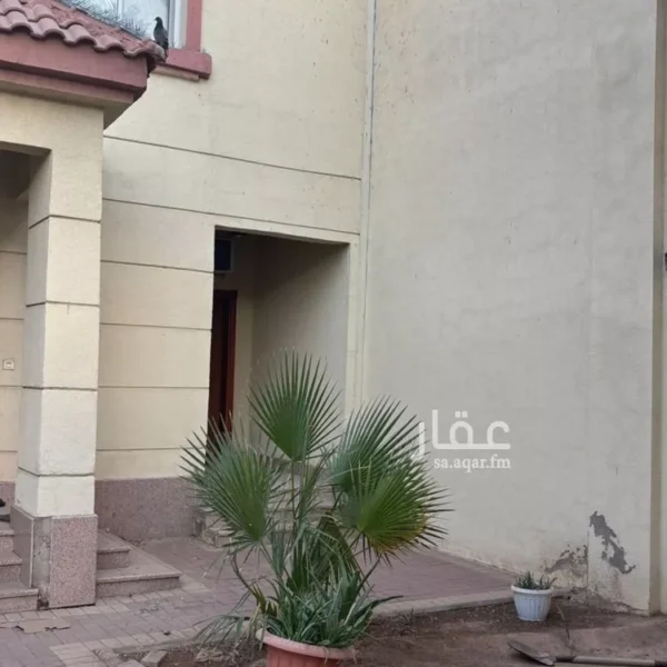 048493267 1768146328353 600x600