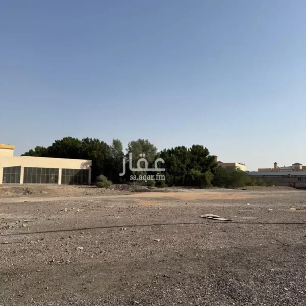 050060390 1768071257299 1 600x600