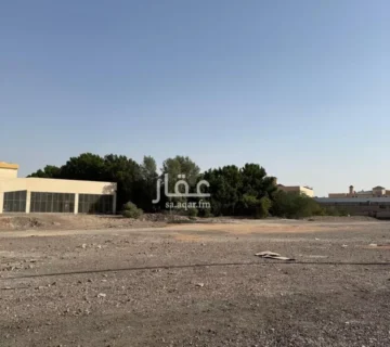 050060390 1768071257299 360x320