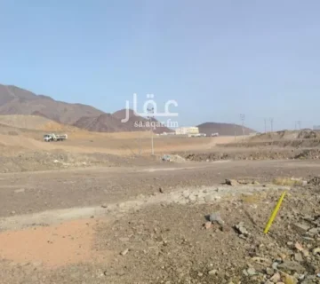 050060392 1773008293740 360x320