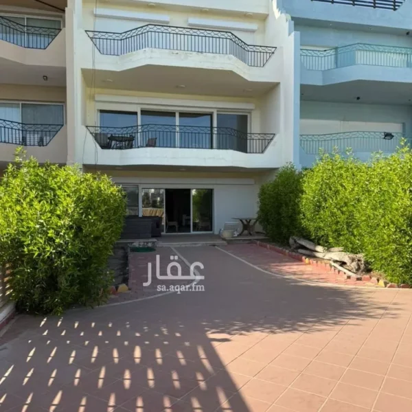 050060392 1773099296769 600x600