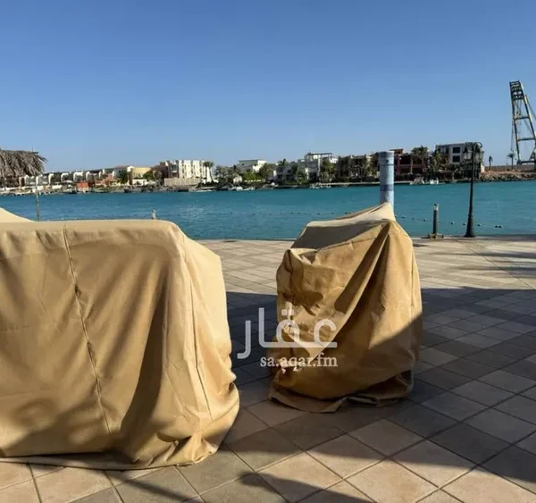 050060393 1773099296200 600x563