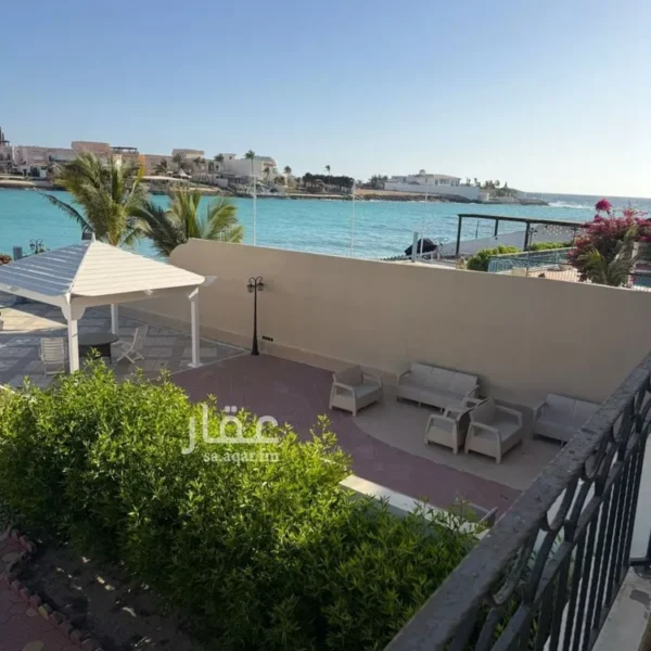 050060395 1773099296030 600x600