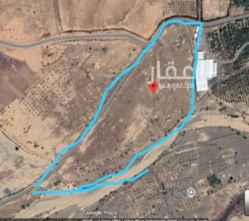 الخضراء 360x320