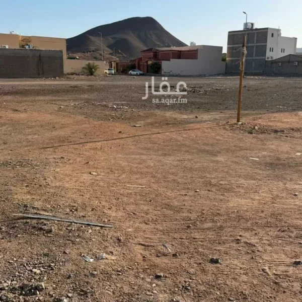 ااررض صالح الشهباء 600x600