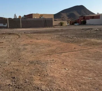 ارض صاالح الشهباء 360x320