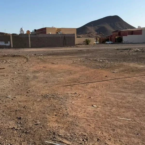 ارض صاالح الشهباء 600x600