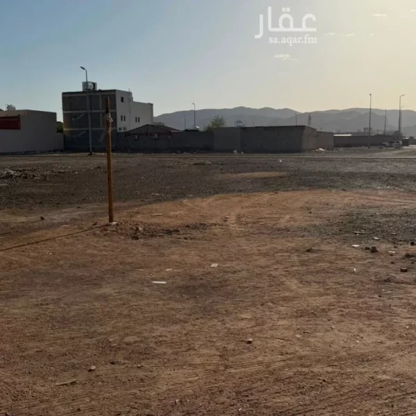 ارض صالح الشهباء 600x600