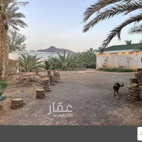 مزررعة غابة 600x600