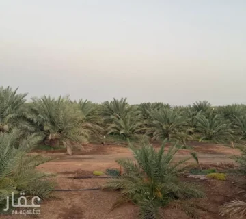 مزرعة االخضراء 360x320