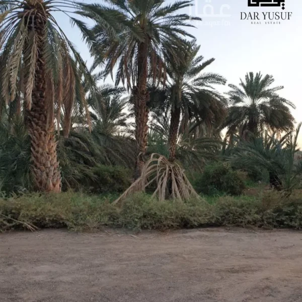مزرعة االخليل 600x600