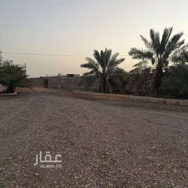 مزرعة الخضاء 600x600