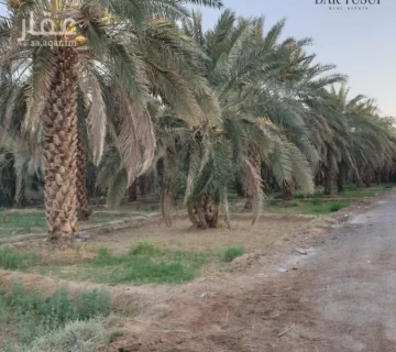 مزرعة الخليل 360x320